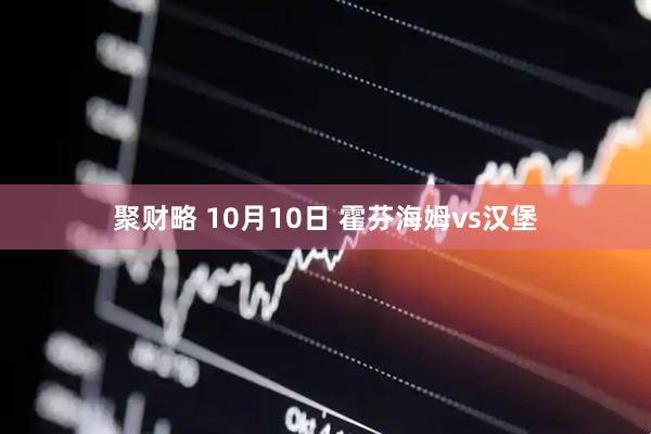 聚财略 10月10日 霍芬海姆vs汉堡