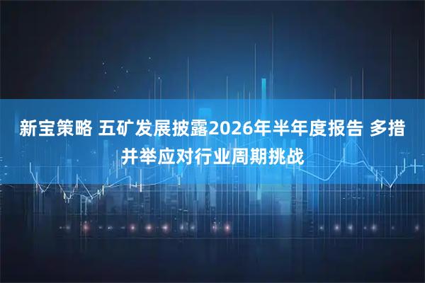新宝策略 五矿发展披露2026年半年度报告 多措并举应对行业周期挑战